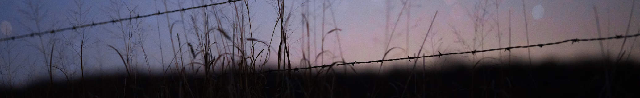 Banner profilu uživatele Admin Behanced