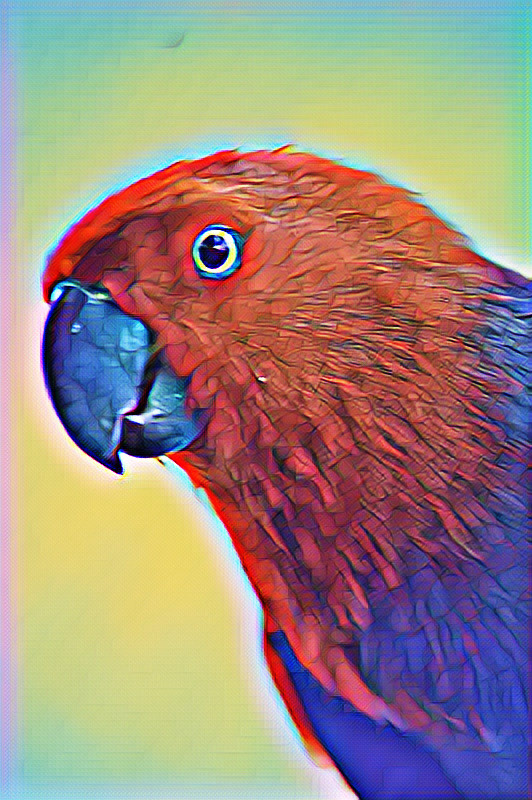 birb bird nft Red wuewuewue