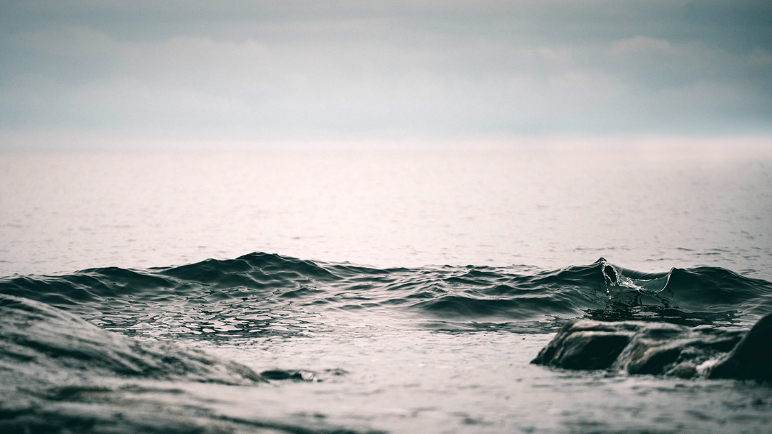 AutoCAD Adobe Story sun