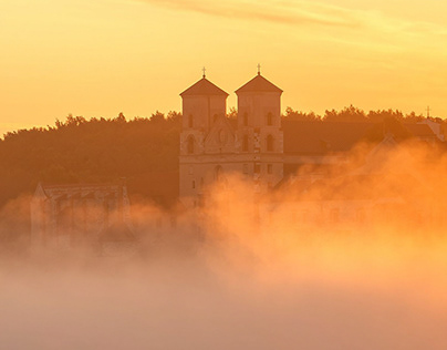 Quia Vitae Consequatur