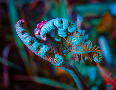 Voluptate Deleniti Voluptate